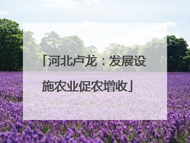 河北卢龙：发展设施农业促农增收