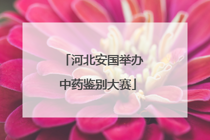 河北安国举办中药鉴别大赛