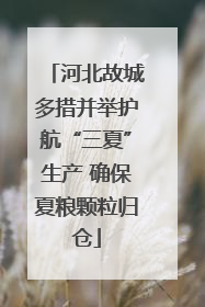 河北故城多措并举护航“三夏”生产 确保夏粮颗粒归仓