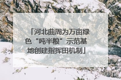 河北曲周为万亩绿色“吨半粮”示范基地创建指挥田机制