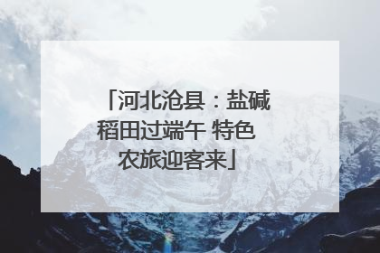 河北沧县：盐碱稻田过端午 特色农旅迎客来