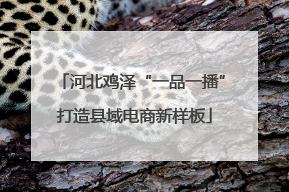 河北鸡泽“一品一播”打造县域电商新样板