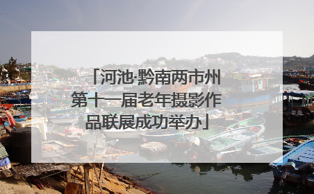 河池·黔南两市州第十一届老年摄影作品联展成功举办