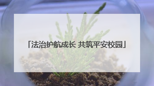 法治护航成长 共筑平安校园