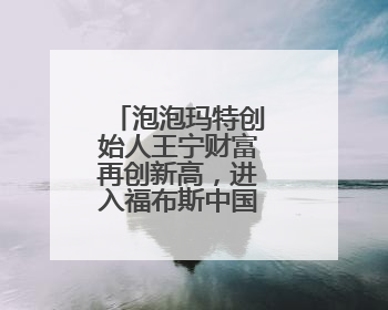 泡泡玛特创始人王宁财富再创新高，进入福布斯中国实时榜前十