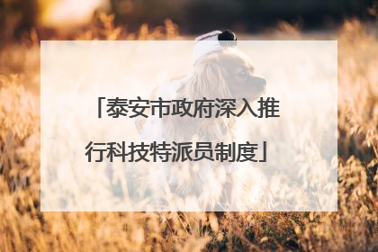 泰安市政府深入推行科技特派员制度