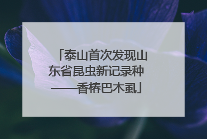 泰山首次发现山东省昆虫新记录种——香椿巴木虱