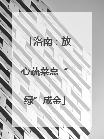 洛南：放心蔬菜点“绿”成金