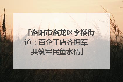 洛阳市洛龙区李楼街道：百企千店齐拥军 共筑军民鱼水情