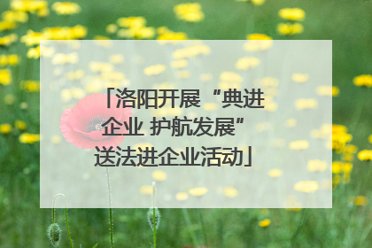 洛阳开展“典进企业 护航发展”送法进企业活动