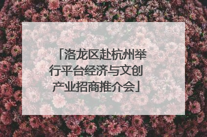 洛龙区赴杭州举行平台经济与文创产业招商推介会