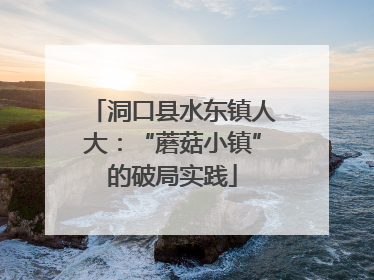 洞口县水东镇人大：“蘑菇小镇”的破局实践