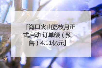 海口火山荔枝月正式启动 订单额（预售）4.11亿元