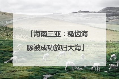 海南三亚：糙齿海豚被成功放归大海