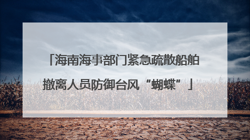 海南海事部门紧急疏散船舶撤离人员防御台风“蝴蝶”