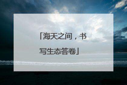 海天之间，书写生态答卷