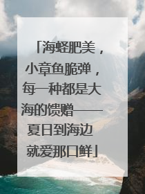 海蛏肥美，小章鱼脆弹，每一种都是大海的馈赠——夏日到海边 就爱那口鲜
