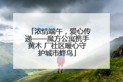 浓情端午，爱心传递——魔方公寓携手黄木 厂社区暖心守护城市蜂鸟