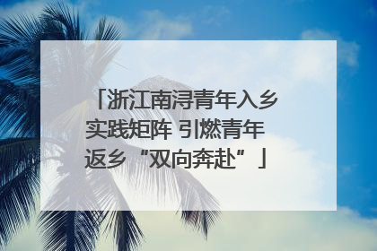 浙江南浔青年入乡实践矩阵 引燃青年返乡“双向奔赴”