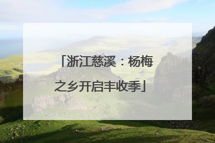 浙江慈溪：杨梅之乡开启丰收季