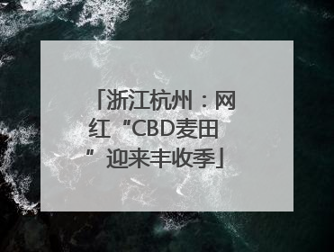浙江杭州：网红“CBD麦田”迎来丰收季