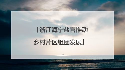 浙江海宁盐官推动乡村片区组团发展