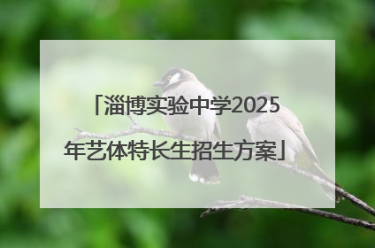 淄博实验中学2025年艺体特长生招生方案