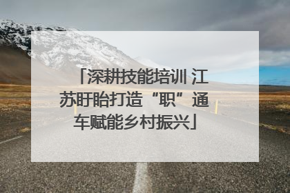 深耕技能培训 江苏盱眙打造“职”通车赋能乡村振兴