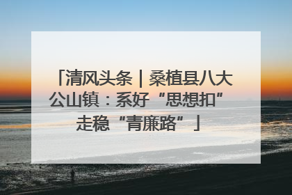 清风头条｜桑植县八大公山镇：系好“思想扣” 走稳“青廉路”