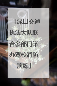 渌口交通执法大队联合多部门举办驾校消防演练