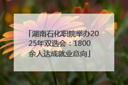 湖南石化职院举办2025年双选会：1800余人达成就业意向