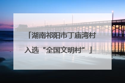 湖南祁阳市丁庙湾村入选“全国文明村”