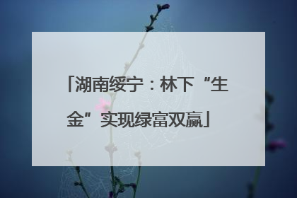 湖南绥宁：林下“生金”实现绿富双赢