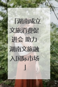 湖南成立文旅消费促进会 助力湖南文旅融入国际市场