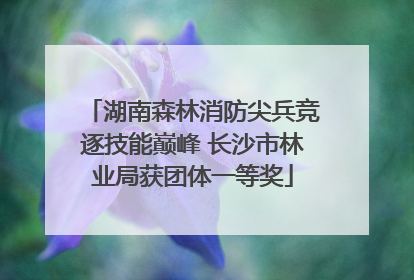 湖南森林消防尖兵竞逐技能巅峰 长沙市林业局获团体一等奖