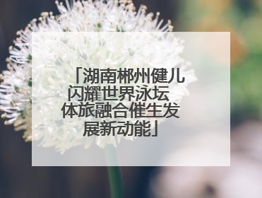 湖南郴州健儿闪耀世界泳坛 体旅融合催生发展新动能