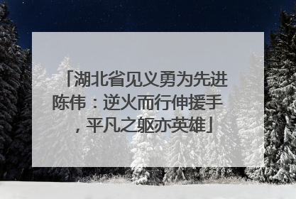 湖北省见义勇为先进陈伟：逆火而行伸援手，平凡之躯亦英雄