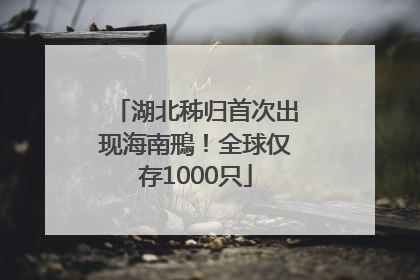 湖北秭归首次出现海南鳽！全球仅存1000只