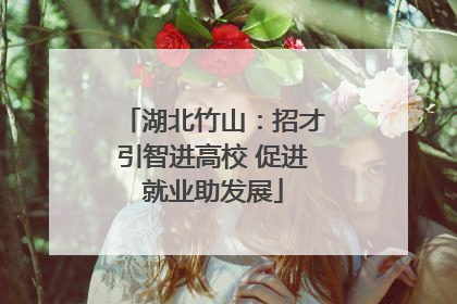 湖北竹山：招才引智进高校 促进就业助发展