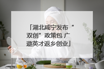 湖北咸宁发布“双创”政策包 广邀英才返乡创业