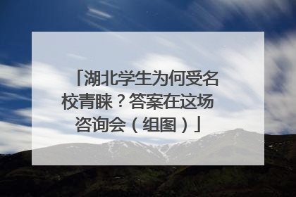 湖北学生为何受名校青睐？答案在这场咨询会（组图）