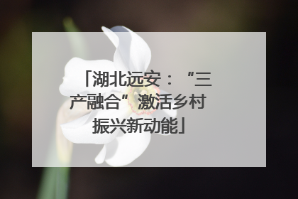湖北远安：“三产融合”激活乡村振兴新动能