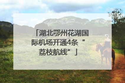 湖北鄂州花湖国际机场开通4条“荔枝航线”