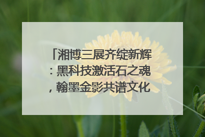 湘博三展齐绽新辉：黑科技激活石之魂，翰墨金影共谱文化遗产日华章