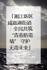 湘江新区咸嘉湖街道：全民共筑“青春防毒墙” 守护无毒未来