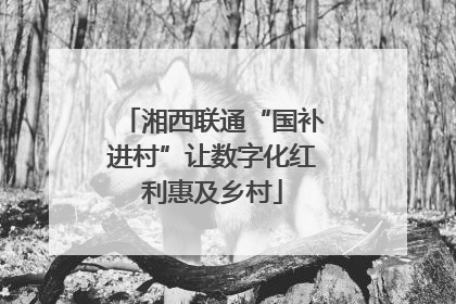 湘西联通“国补进村”让数字化红利惠及乡村