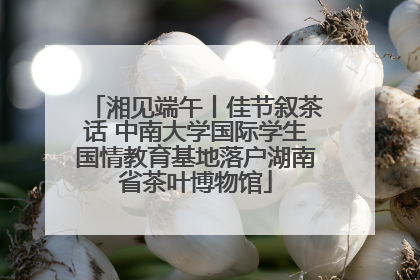 湘见端午丨佳节叙茶话 中南大学国际学生国情教育基地落户湖南省茶叶博物馆