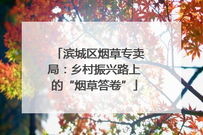 滨城区烟草专卖局：乡村振兴路上的“烟草答卷”