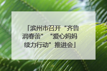 滨州市召开“齐鲁润春蕾”“爱心妈妈续力行动”推进会