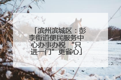 滨州滨城区：彭李街道便民服务中心办事办税 “只进一门”更省心